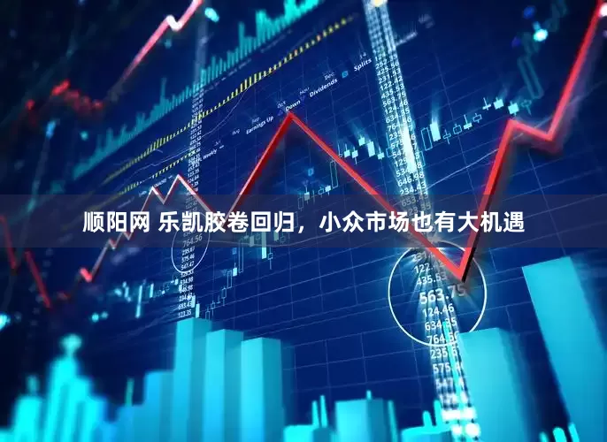 顺阳网 乐凯胶卷回归，小众市场也有大机遇