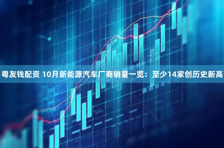 粤友钱配资 10月新能源汽车厂商销量一览：至少14家创历史新高